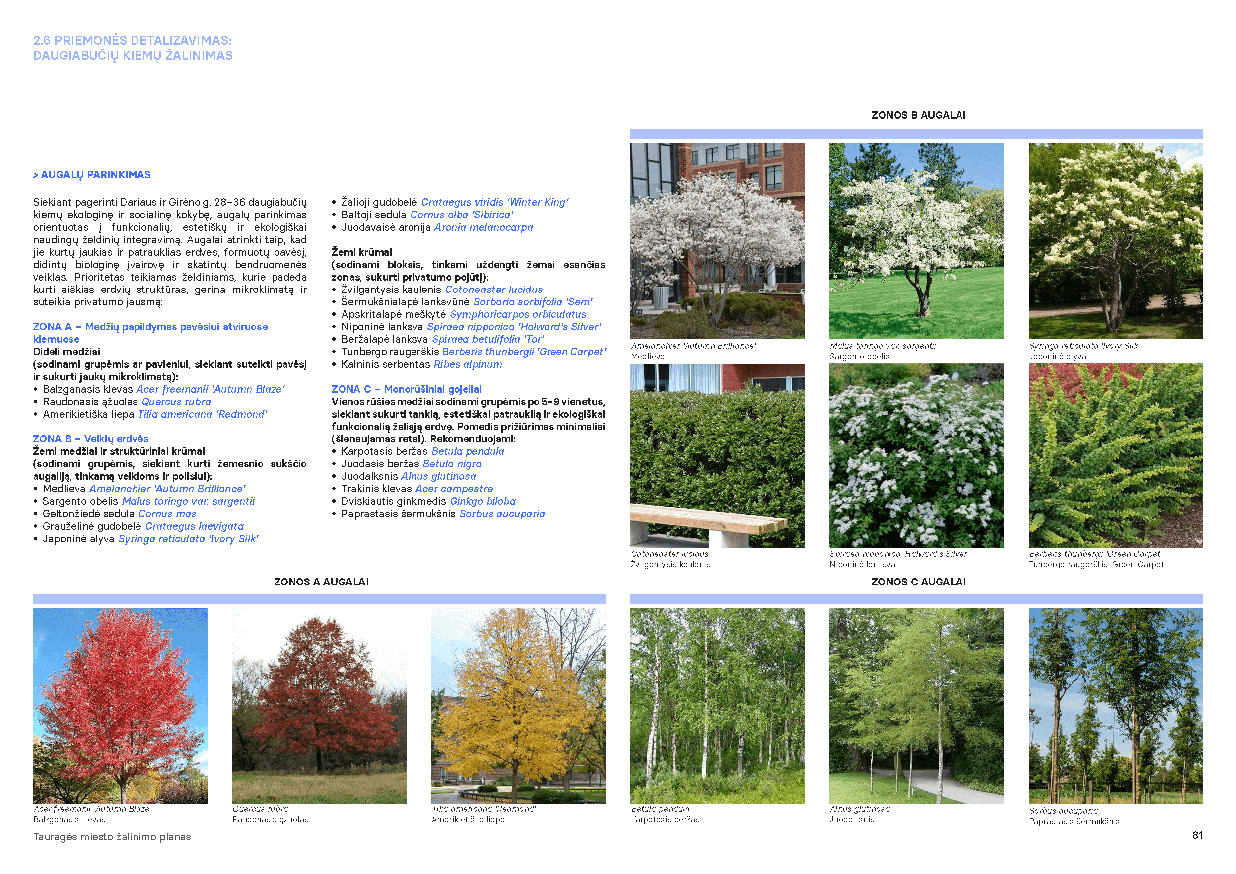 Binder1_Page_09
